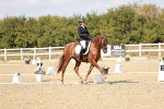 SBM_019279