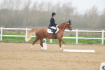 SBM_003278