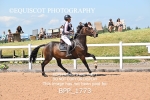 BPP_1773