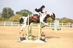 SBM_03854