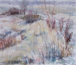 Wild garden in March