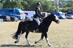 WJ6_8215