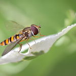 An Air of Expectancy ...