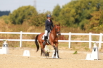 SBM_018480