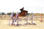 SBM_006209