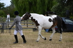 WJ6_8279