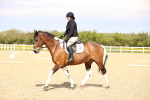 SBM_007896