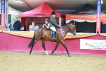 SBM_06404