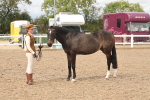 SBM_05033