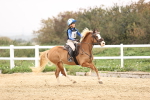 SBM_002087