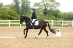 SBM_005534