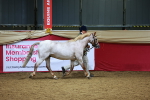 SBM_00249