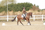SBM_009801