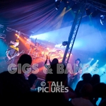 Peppered Ants Legs-34