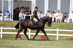 3E7A8117
