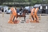BPP_6307