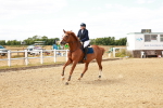 SBM_006040