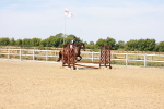SBM_000989