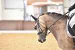 SBM_010340