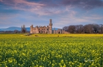 Carlow portfolio