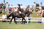 3E7A9446
