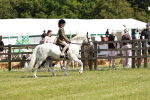 SBM_08477