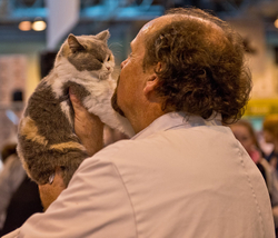 40th Supreme Cat Show NEC Birmingham portfolio