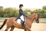 SBM_020211