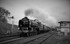 JL - 5.10.19 LNER A1 60163 'Tornado' 1Z65 Carlisle - Leicester, KS