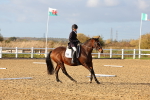 SBM_002805