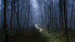 Trails