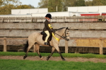 S7 - Novice & Newcomer Ridden Pony portfolio
