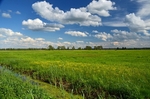 Biebrza, Poland