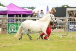 SBM_04356