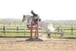 SBM_003666