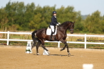 SBM_010529