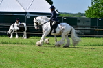 SBM_09336
