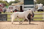 SBM_04586