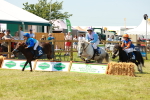 SBM_16895