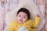 Newborn Photoshoots portfolio