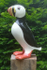 Puffin