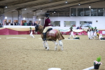 SBM_10504