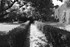 Walled Courtyard