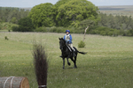 BVHT 140517  IXC -171