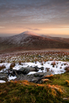 Light across the hills