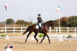 SBM_016987
