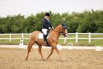 SBM_005365
