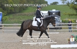 BPP_5954