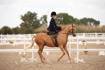 SBM_05329
