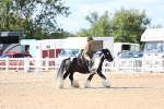 SBM_11455